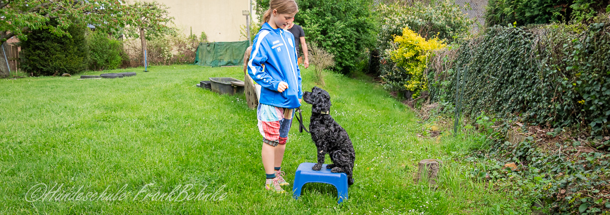 kind und hund Respekt ist die beste Prävention