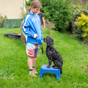 kind und hund Respekt ist die beste Prävention