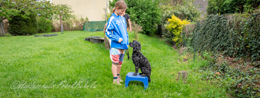kind und hund Respekt ist die beste Prävention